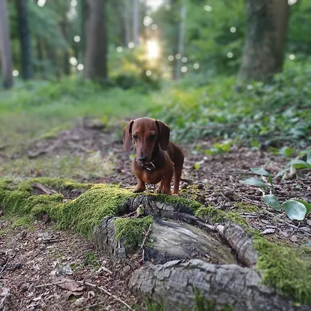 Stadt-land-fluss Lägenhet *