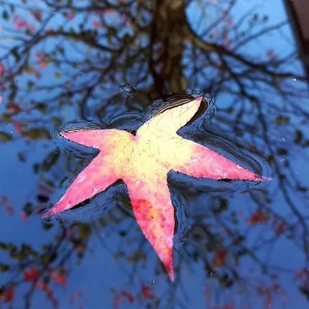 Stadt-land-fluss Bad Salzuflen