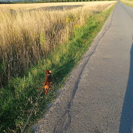 公寓 Stadt-land-fluss 巴特萨尔茨乌夫伦