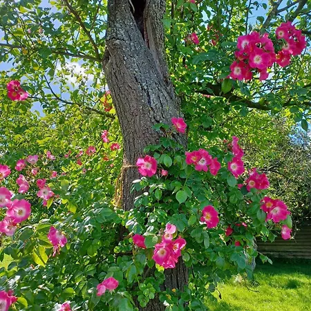 Lägenhet Stadt-land-fluss *