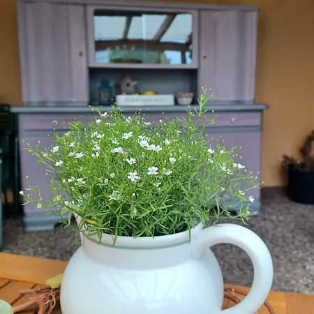 Stadt-land-fluss * Bad Salzuflen