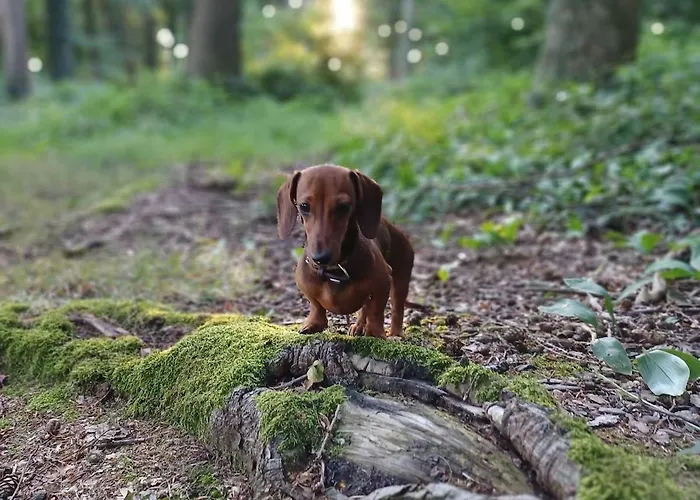 Stadt-land-fluss Apartamento *