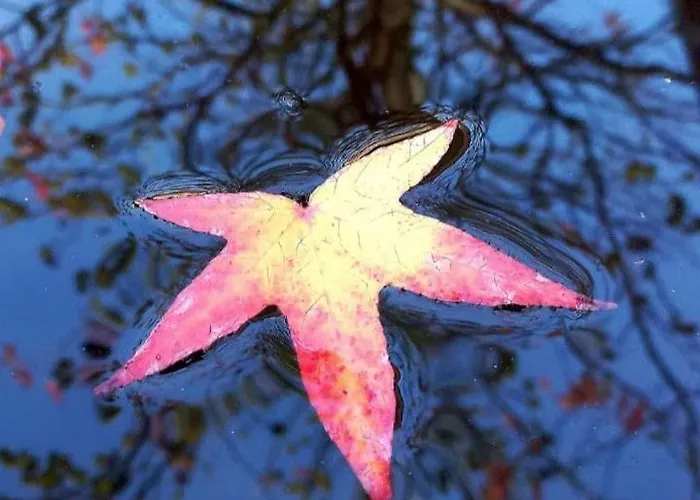 Stadt-land-fluss Bad Salzuflen