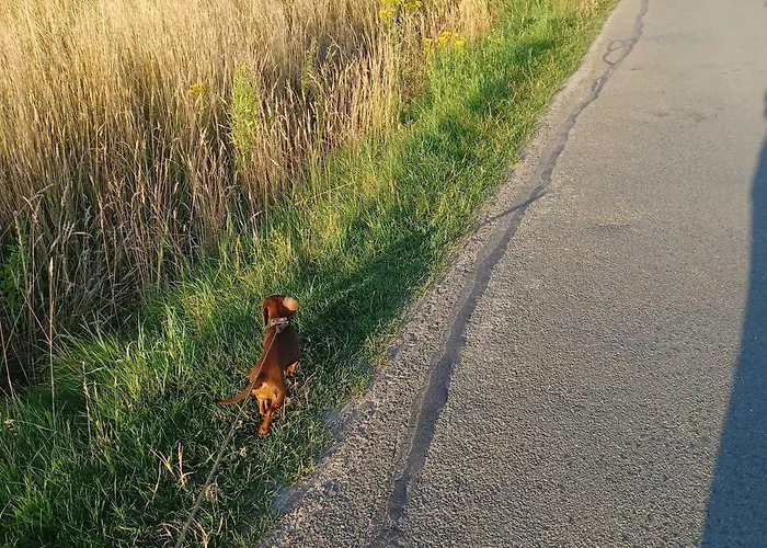 Apartamento Stadt-land-fluss Bad Salzuflen