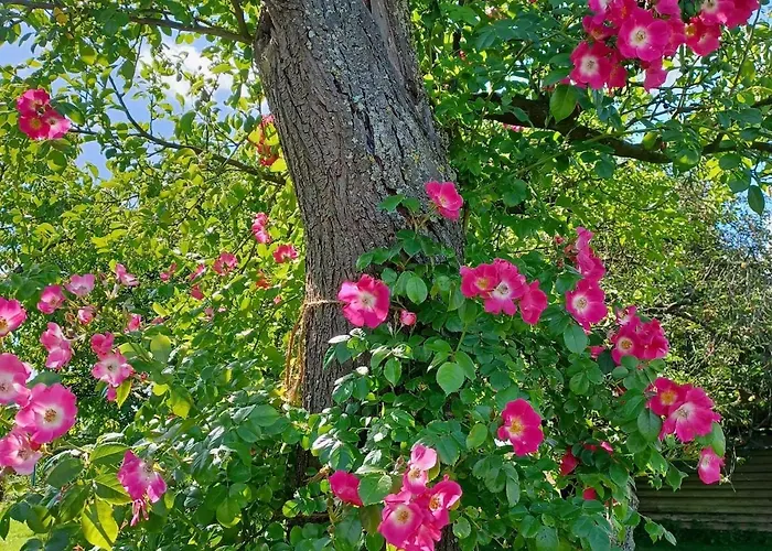 Appartamento Stadt-land-fluss *