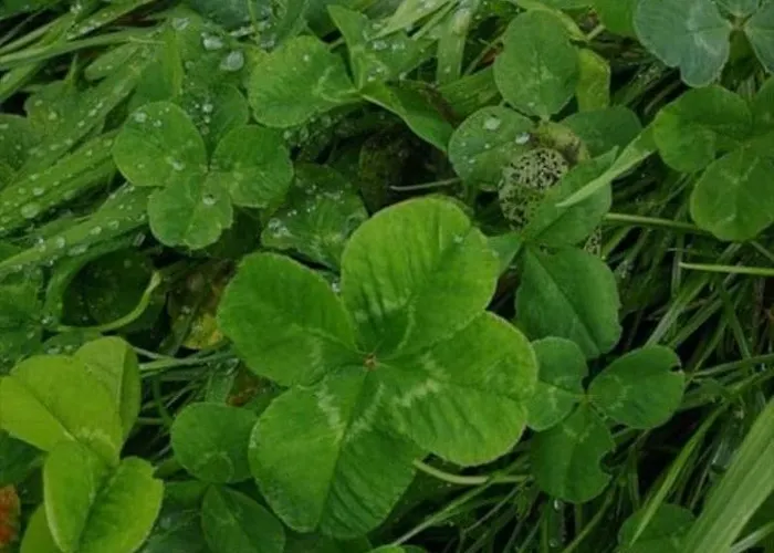 Stadt-land-fluss Appartamento *