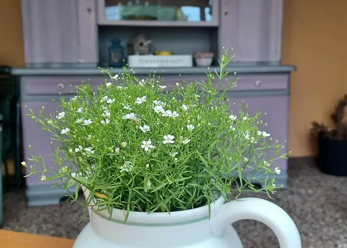 Stadt-land-fluss * Bad Salzuflen